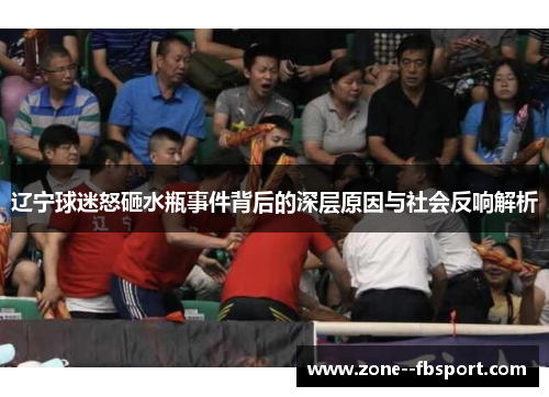 辽宁球迷怒砸水瓶事件背后的深层原因与社会反响解析
