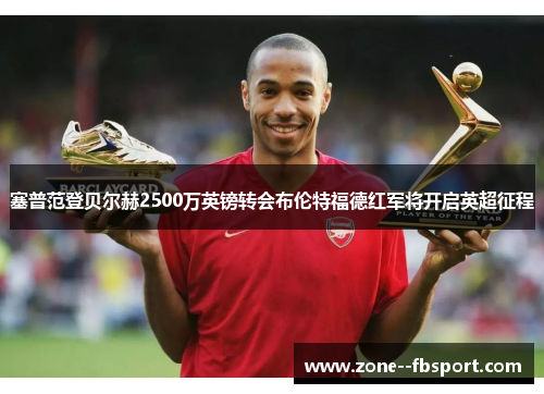 塞普范登贝尔赫2500万英镑转会布伦特福德红军将开启英超征程 塞普范登贝尔赫2500万英镑转会布伦特福德红军将开启英超征程